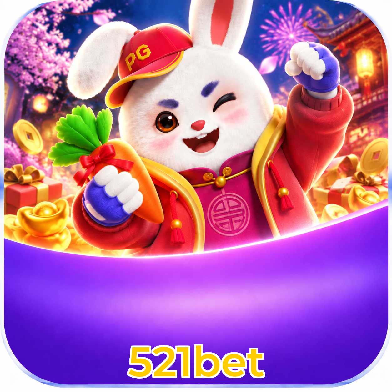 Cadastros recentes verificados na plataforma 521bet
